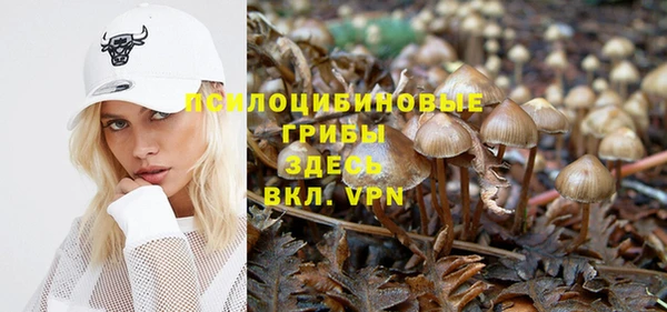 а пвп мука Абдулино